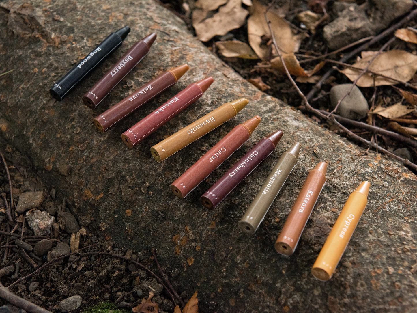 Forest Crayons