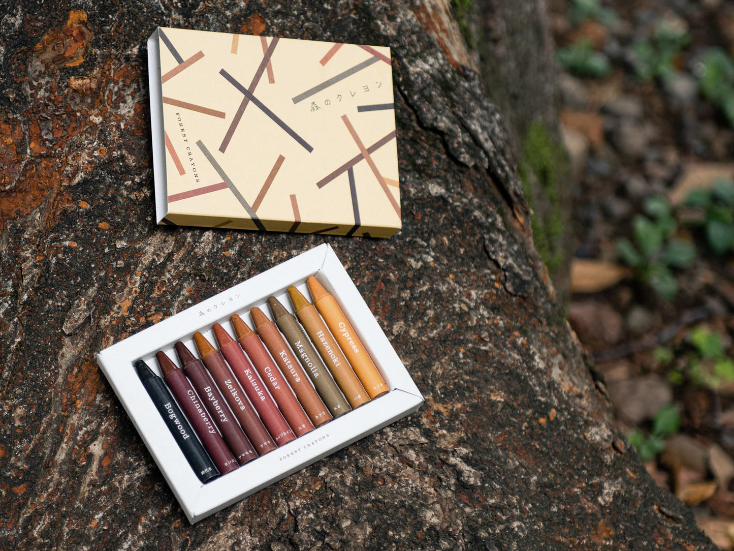 Forest Crayons